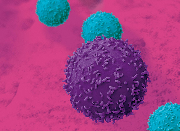 Immune Cell Culture Media